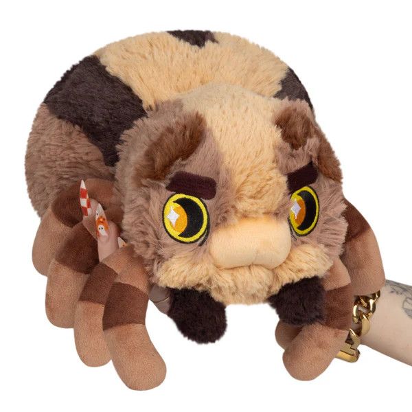 Mini Wolf Spider