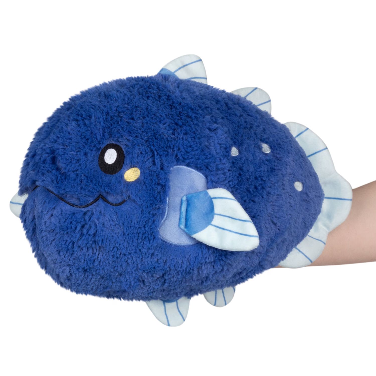 Mini Coelacanth