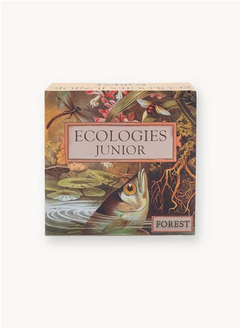 Ecologies Junior: Forest