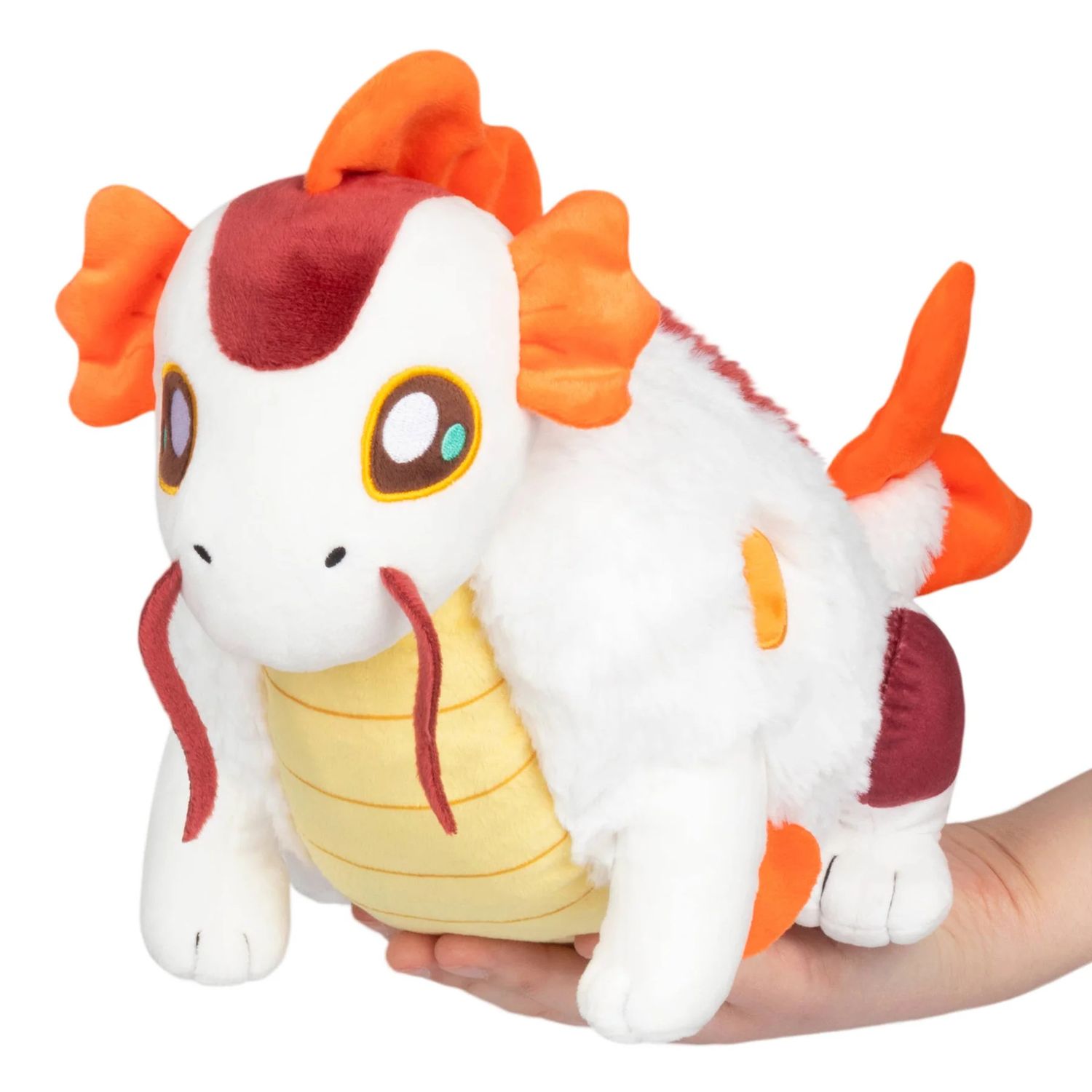 Mini Koi Fish Dragon