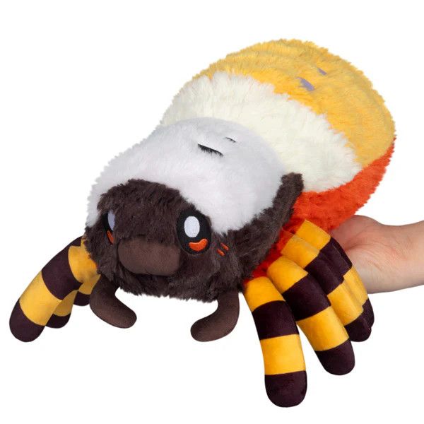 Mini Orb Weaver Spider