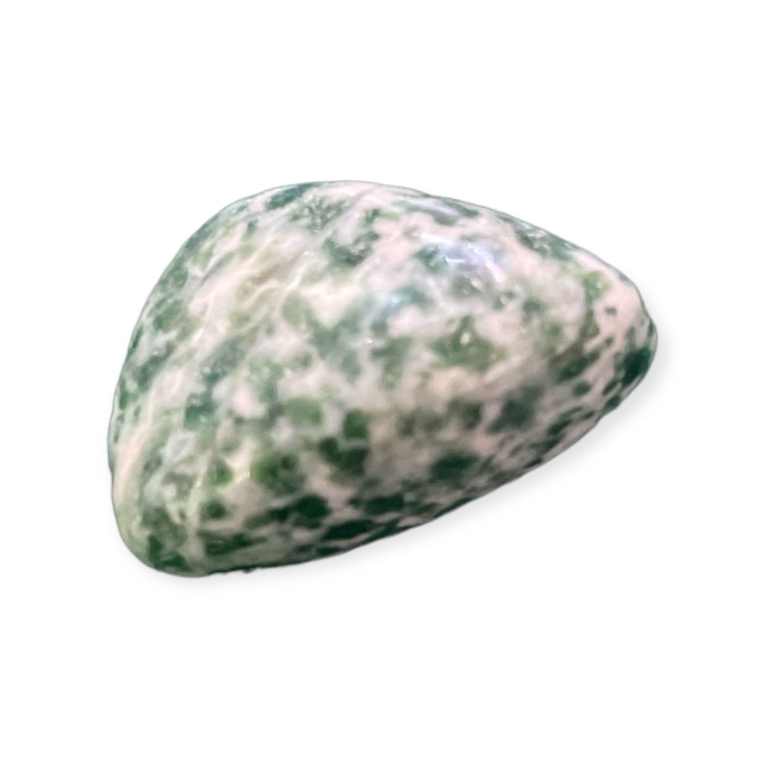 Tree Agate Tumbled Stone