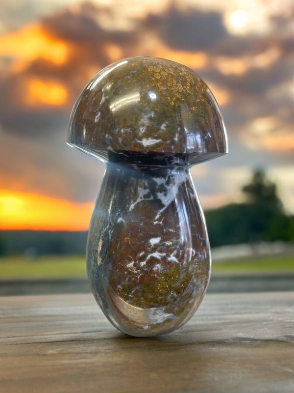 Ocean Jasper Mushroom