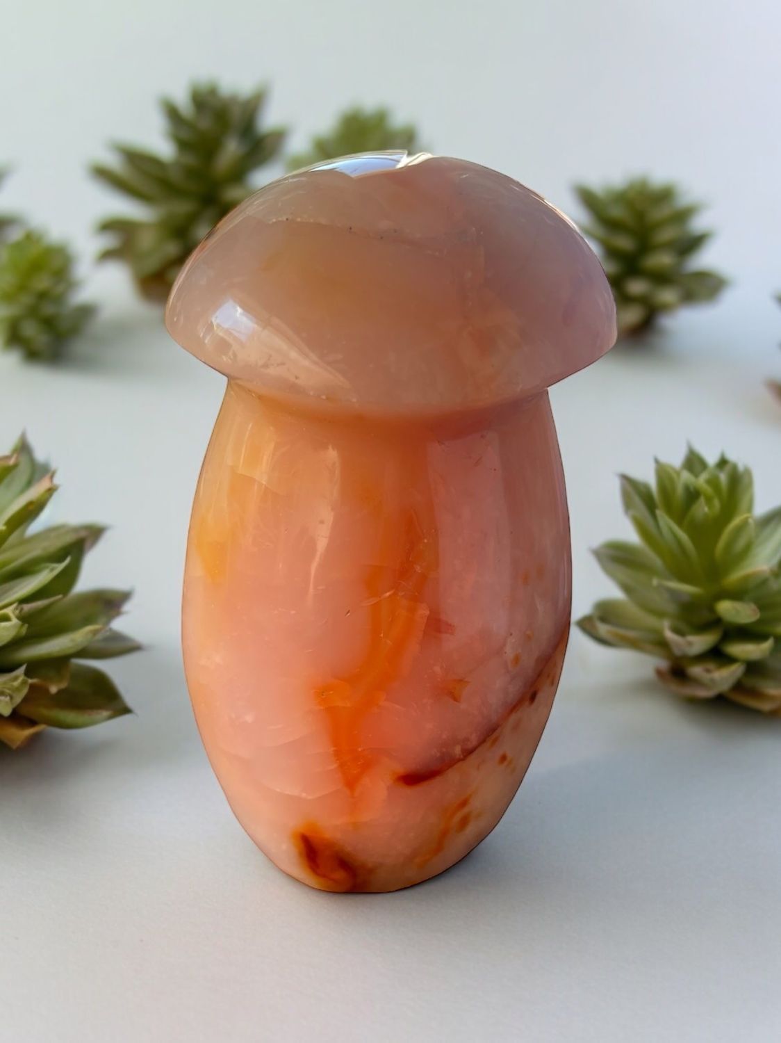 Carnelian Mushroom