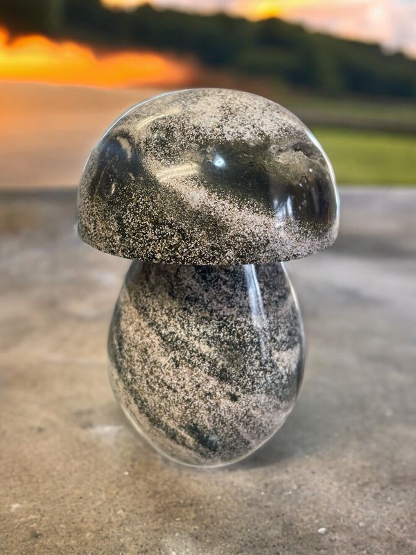 Ocean Jasper Mushroom