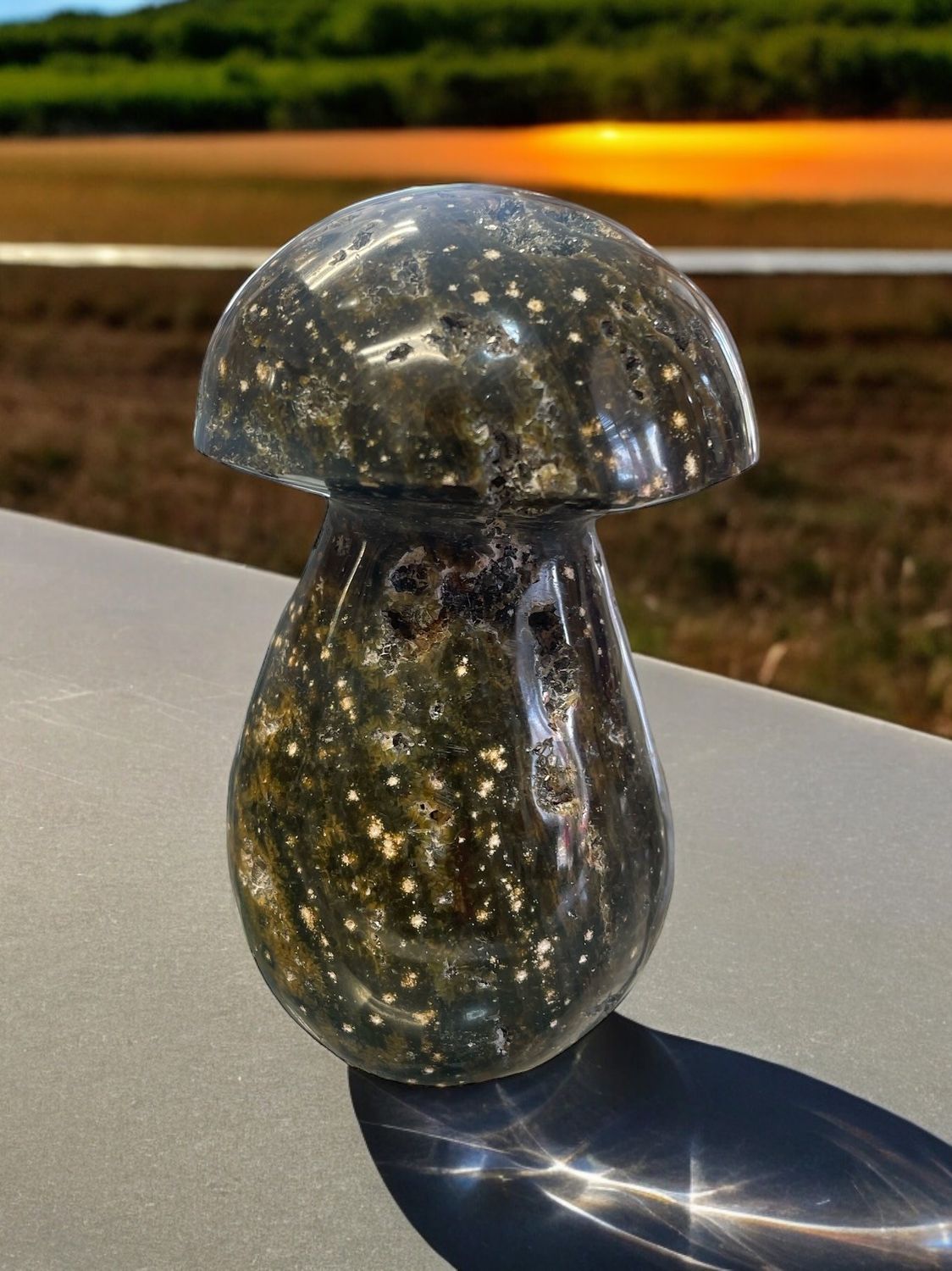 Ocean Jasper Mushroom