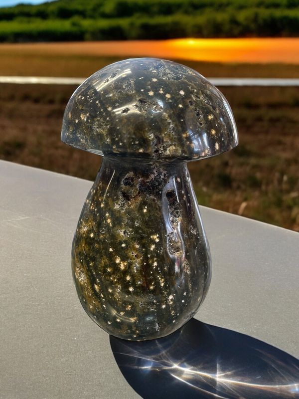 Ocean Jasper Mushroom