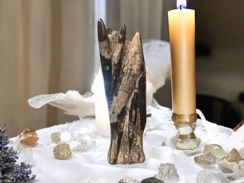 Orthoceras Fossil Tower 4