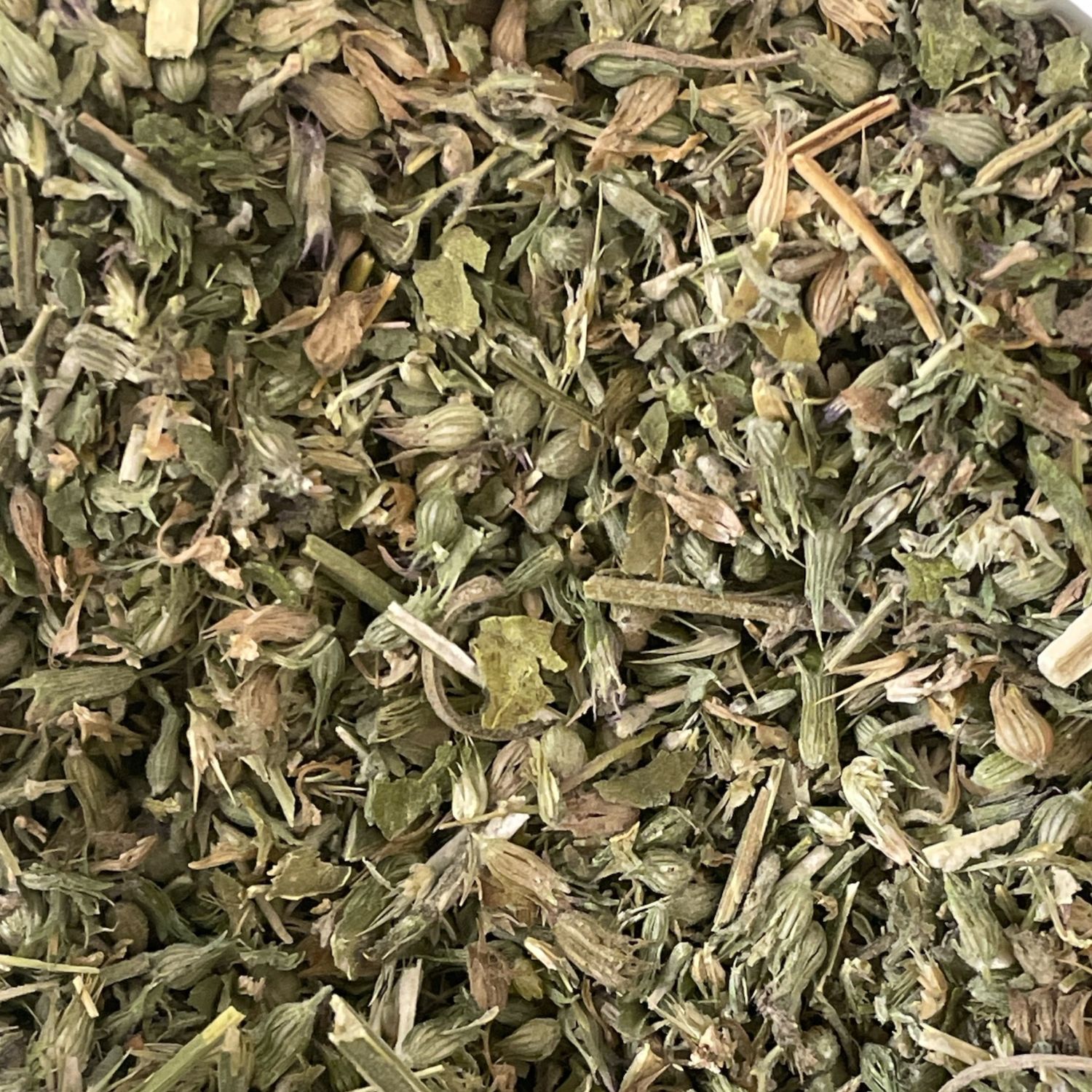 Catnip Leaf and Flower