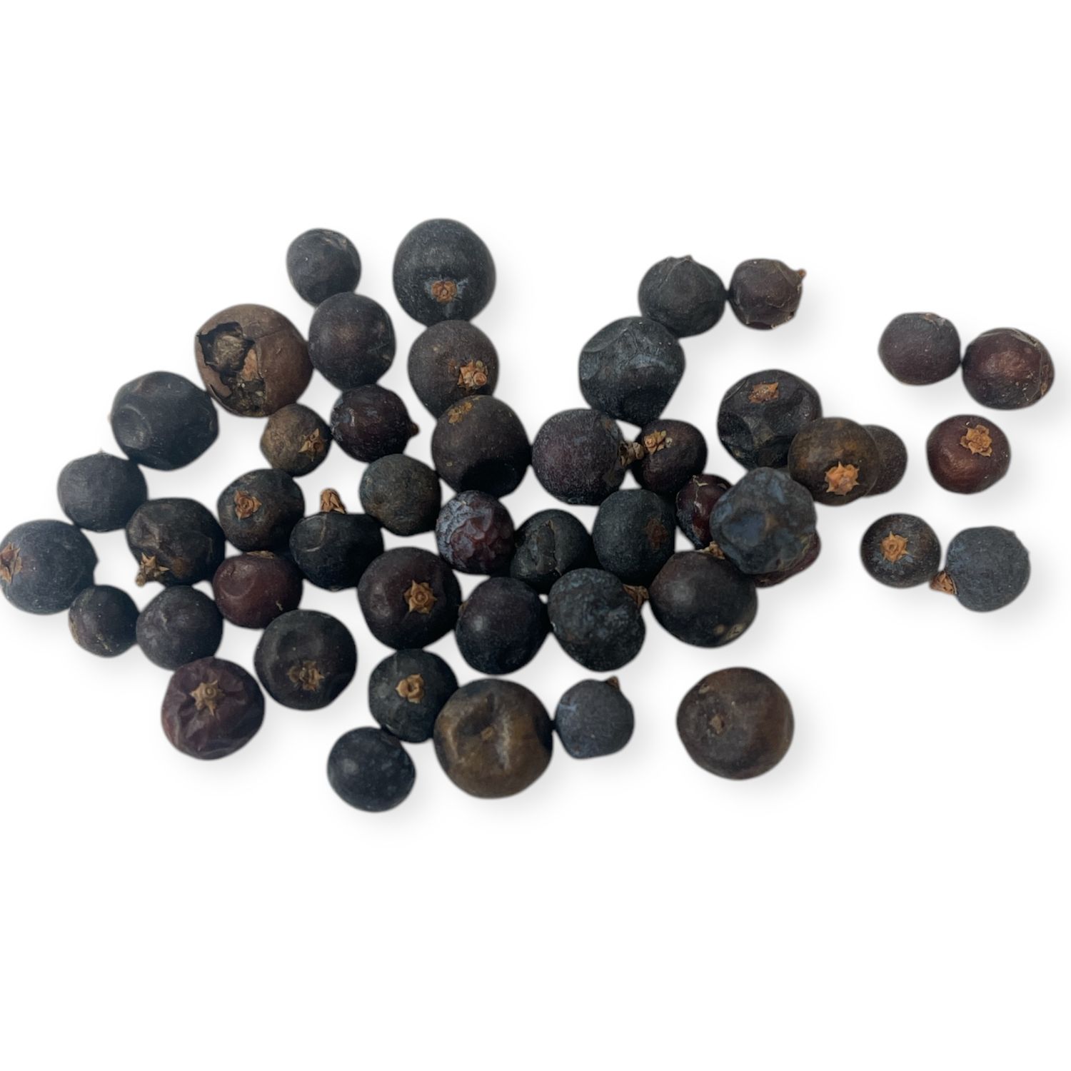 Juniper Berry Whole 1 oz