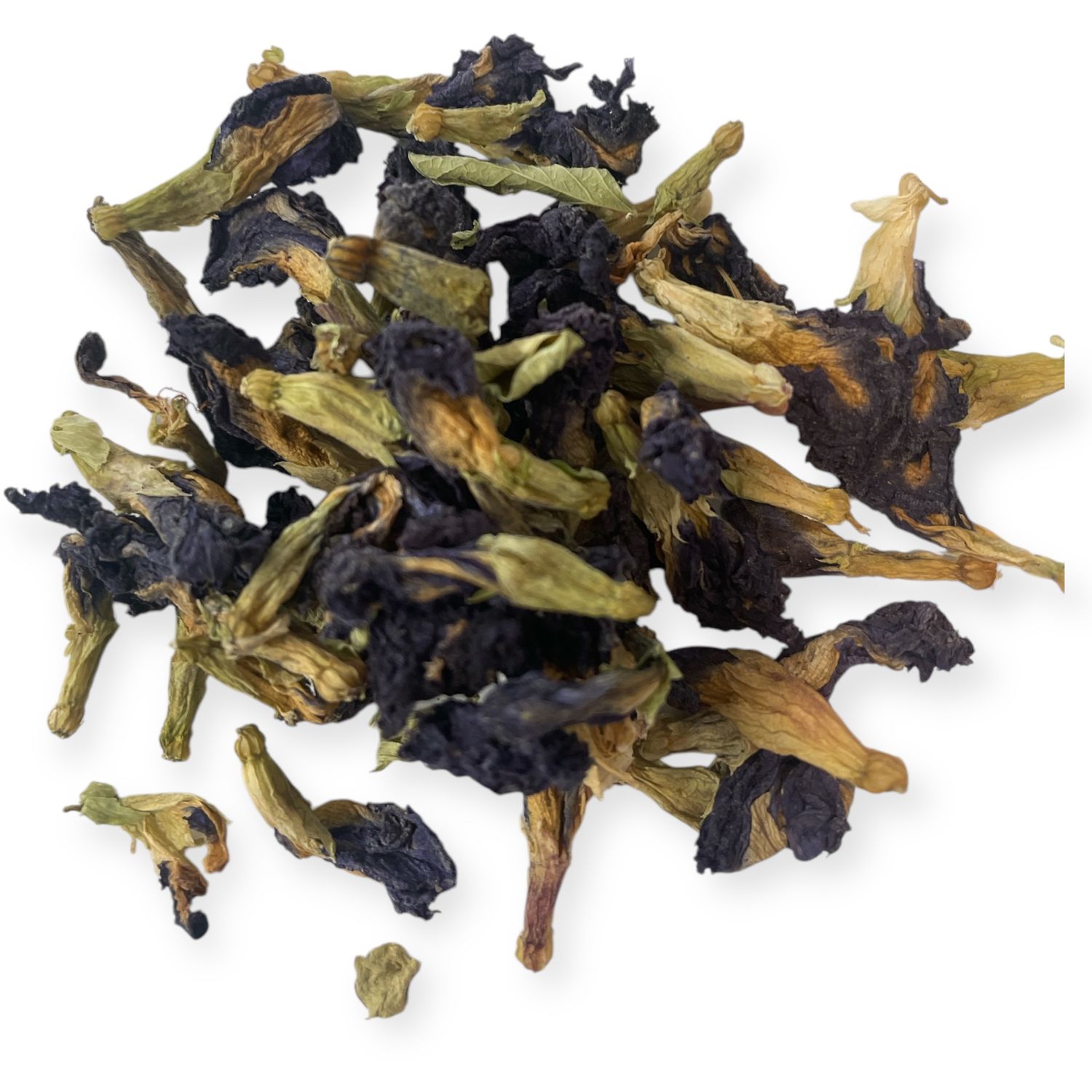 Butterfly Pea Flower