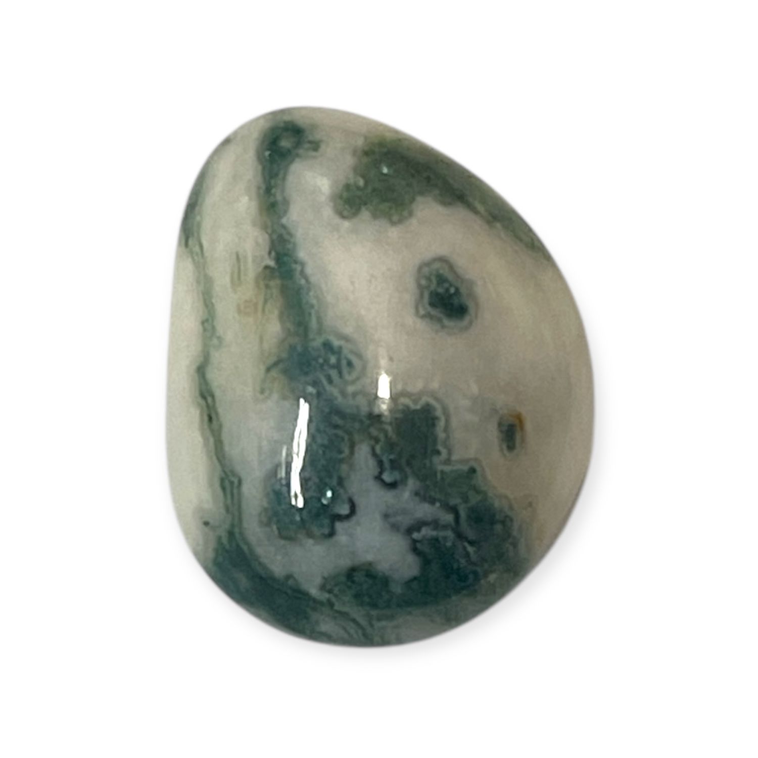 Tree Agate Tumbled Stone