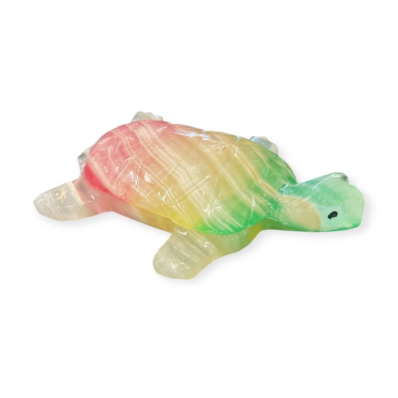 Rainbow Onyx Turtle
