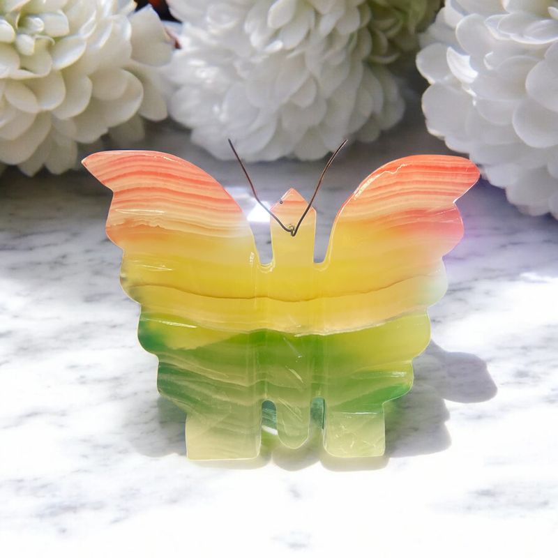 Rainbow Onyx Butterfly