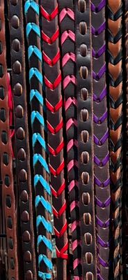 Reins