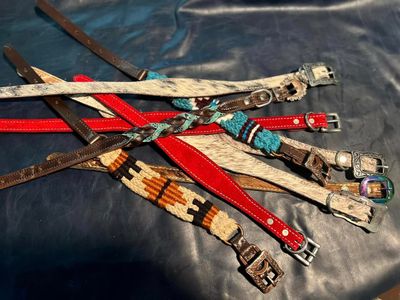 Dog Collars