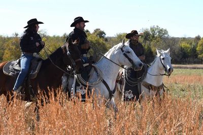 Cowboy Collections