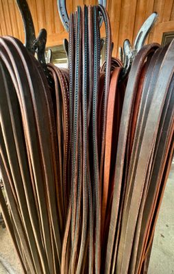 Split Reins