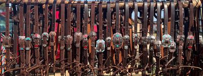 Slip Ear Headstall
