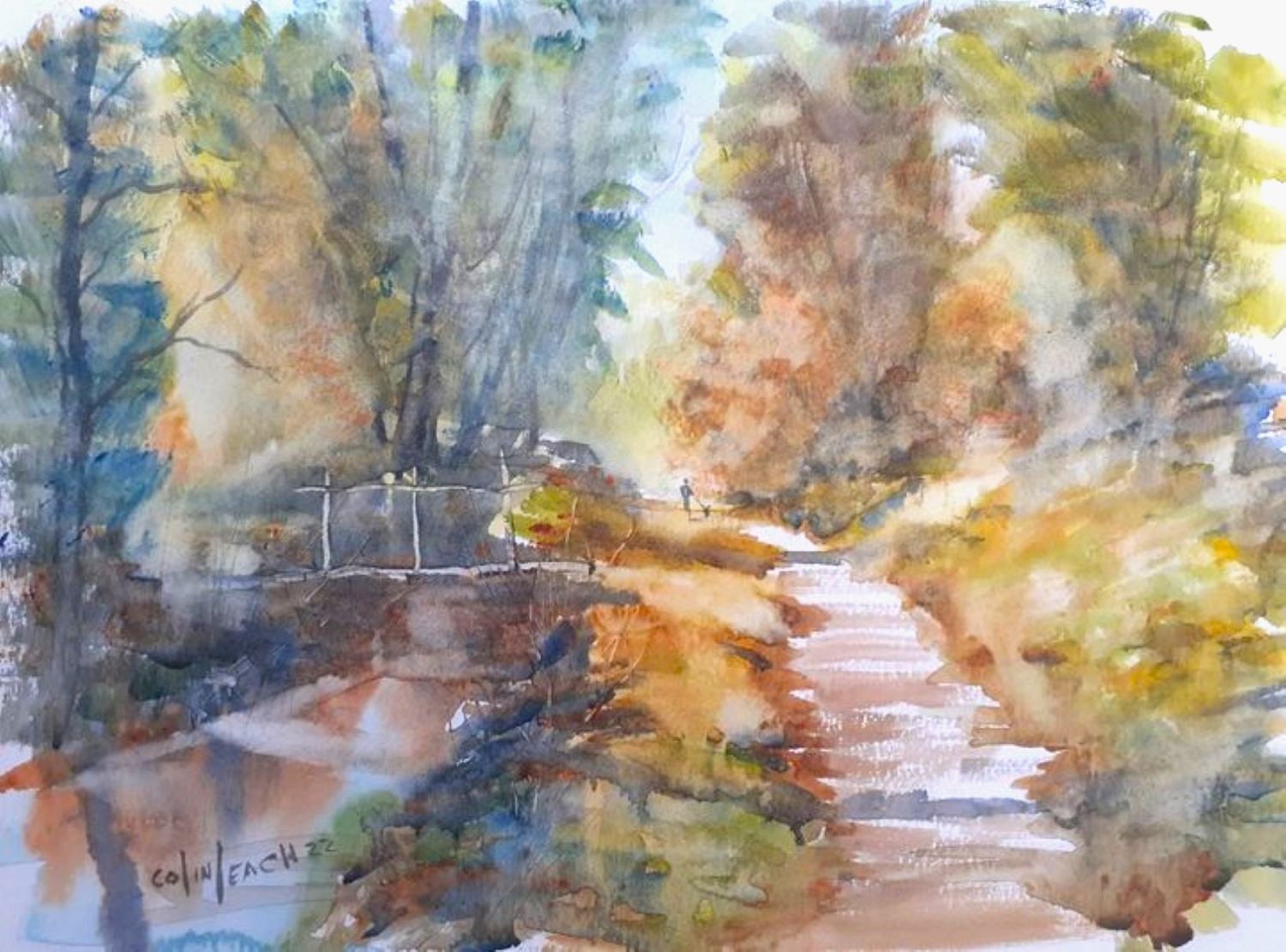 Forest Walk