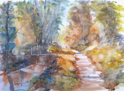 Forest Walk