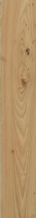 Керамогранит Italon Element Olmo 20х120