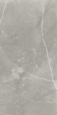 Керамогранит Neodom Supreme Fior di Bosco Polished 60x120