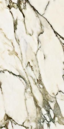 Керамогранит Neodom Ambassador Calacatta Venato Polished 60x120