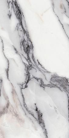 Керамогранит Rex Les Origines De Rex Argent 60x120 Glossy
