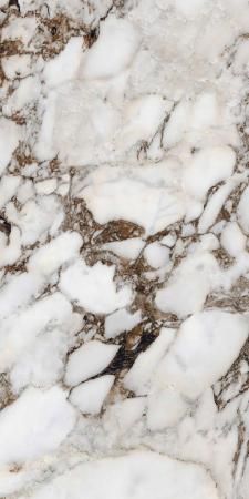 Керамогранит Rex Les Bijoux Breche Capraia 60x120 Glossy