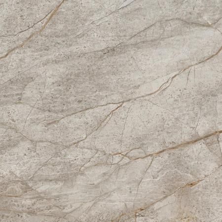 Керамогранит Atlas Concorde Russia Empire Silver Root 60x60