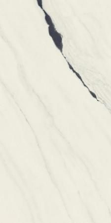 Керамогранит Atlas Concorde Russia Forte dei Marmi Panda White 60x120 Cer