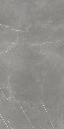 Керамогранит Atlas Concorde Russia Forte dei Marmi Elegant Grey 60x120 Cer