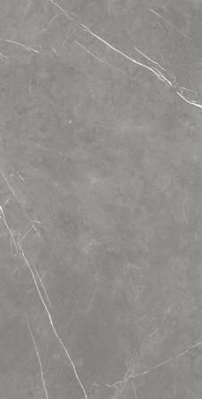 Керамогранит Atlas Concorde Russia Forte dei Marmi Elegant Grey 80x160