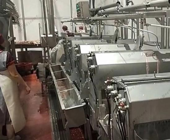 Машина обработки черевы BW-MCP/BW-MCS 400