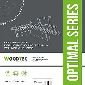 Пила WoodTec для форматно-раскроечных станков Ø300 х 30 х 3,2/2,2 Z = 96 FZ/TR