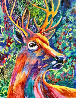 Animals and Wildlife