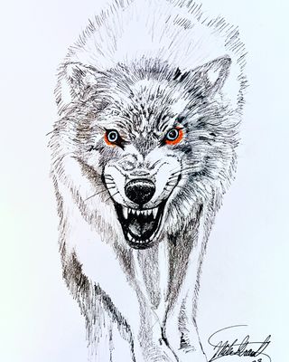 El Lobo I