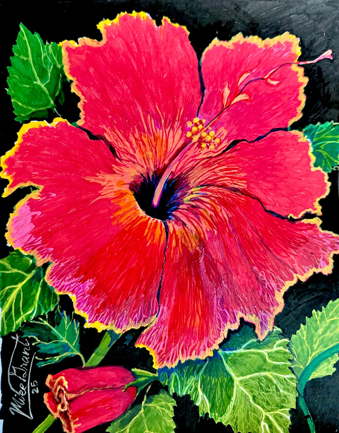 Red Hibiscus