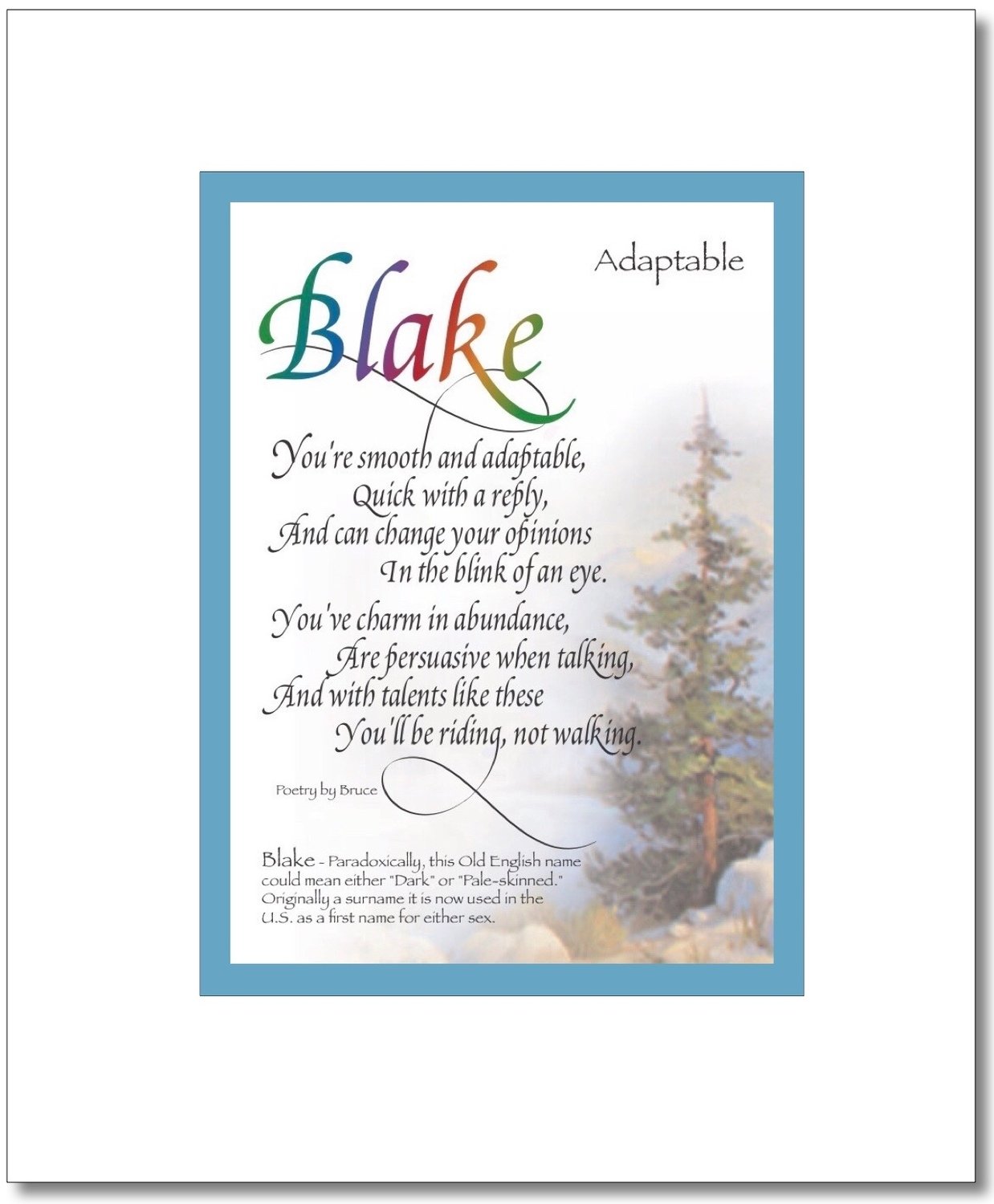 Blake (boy)