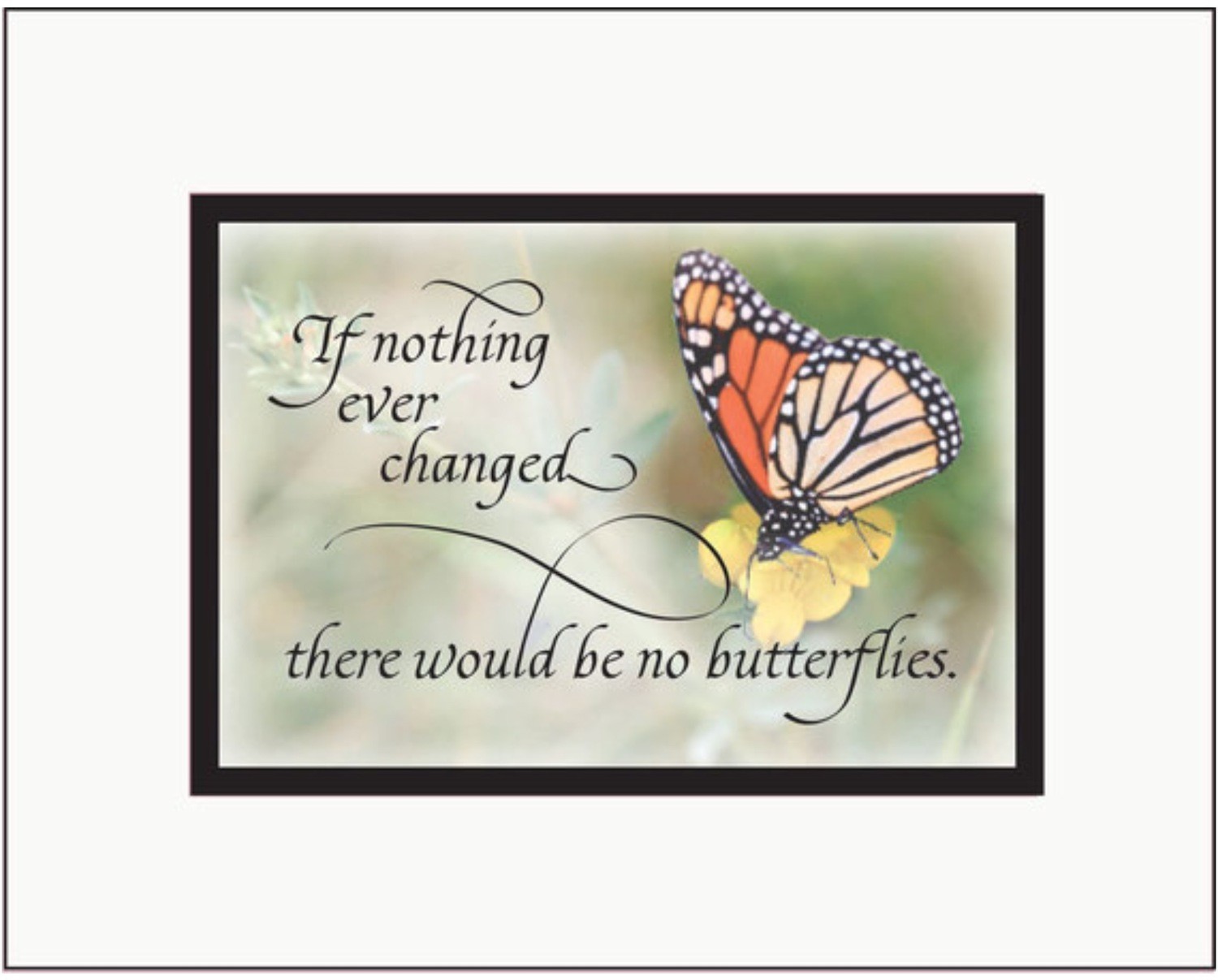Butterflies