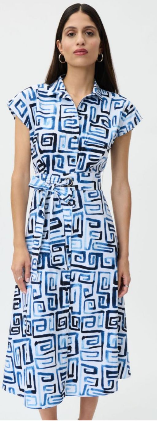 Blue/ vanilla button down dress