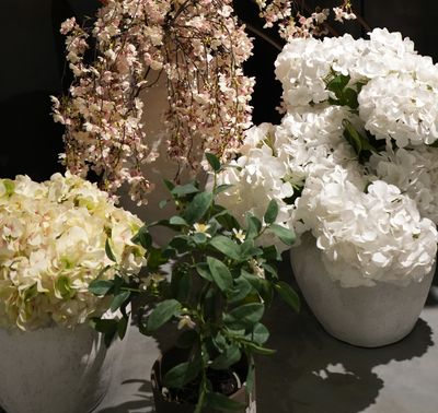 Florals &amp; Foliage