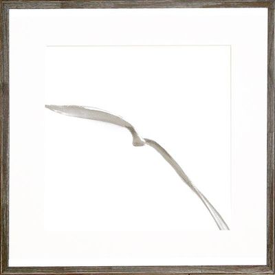 SEAGULL I ART