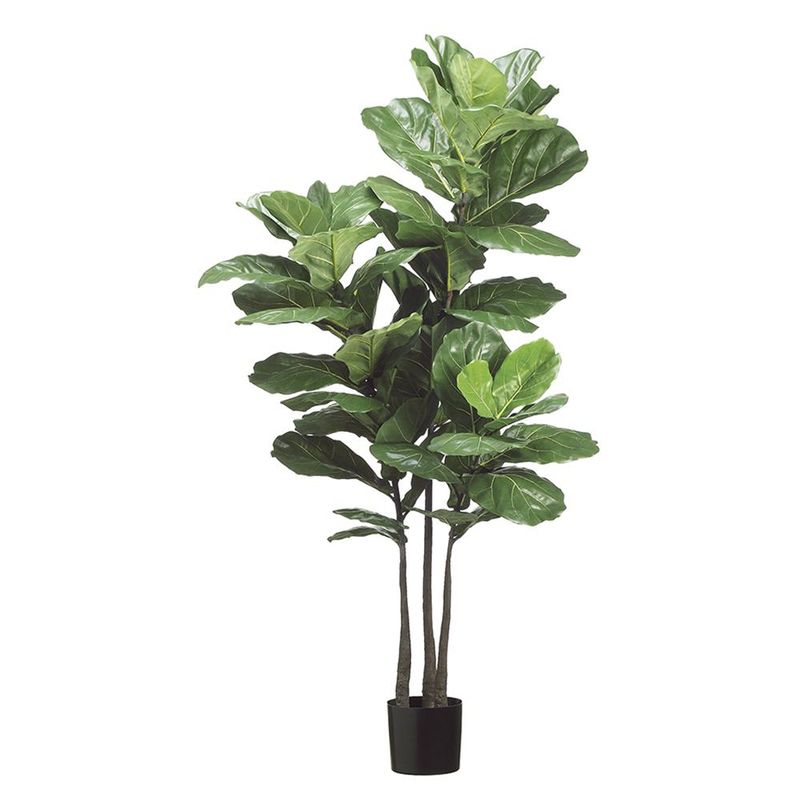 70" FIDDLE LEAF PLANT W/ 53 LEAVES