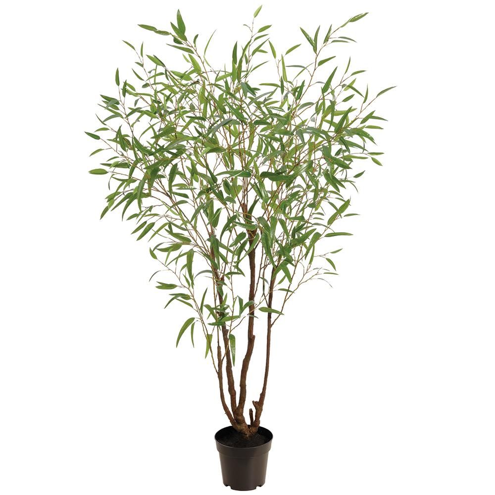 90" EUCALYPTUS TREE IN PLASTIC POT