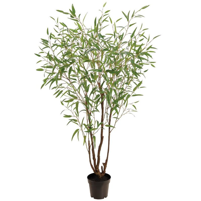 90" EUCALYPTUS TREE IN PLASTIC POT