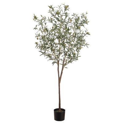 6' OLIVE TREE IN POT GREEN/GRAY