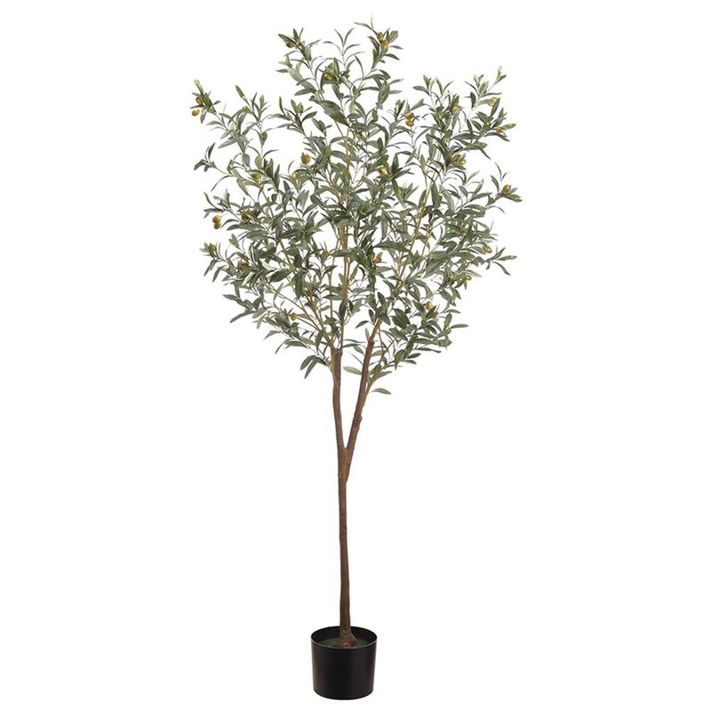 6' OLIVE TREE IN POT GREEN/GRAY