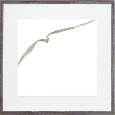 SEAGULL III